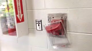 PULLING FIRE ALARM AT SCHOOL PRANK [upl. by Dnalro]