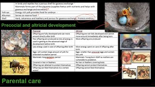 FLOWER DISSECTION Reproduction in Flowering Plants Virtual Lab  Virtual Science Shorts [upl. by Groome]