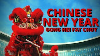 Chinese New Year Information for Kids  Facts about Chinese New Year [upl. by Gisele113]