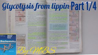 Lippincott chap 8 Glycolysis part 1 of 4 [upl. by Osswald]