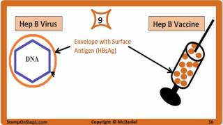 Viral Hepatitis Hepatitis A Hepatitis B Hepatitis C HBsAg HBeAg Vaccine HCV HBV HBsAb [upl. by Anahs929]