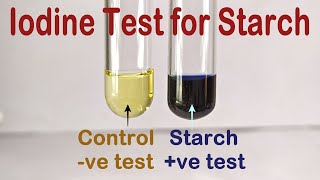 Iodine Test For Starch Practical Experiment [upl. by Aliel]