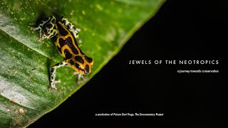 Jewels of the Neotropics [upl. by Licht554]