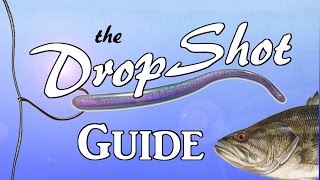 DROPSHOT Guide  The Most Effective Rig in Bass Fishing [upl. by Enomed463]