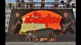 The Stranglers Full Set Punk Rock Bowling 2019 [upl. by Aitselec]