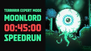 Terraria  Expert Mode Speedrun Moonlord in 45 minutes Seeded ANY RTA [upl. by Adelia419]