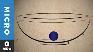 Unit 12 Segment 3 Equilibrium Demonstration [upl. by Roots701]