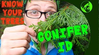 Know Your Trees  Conifer Identification [upl. by Ferrel]