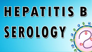 Hepatitis B Serology [upl. by Coyle65]