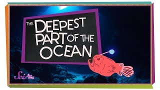 The Deepest Part of the Ocean [upl. by Sallee690]