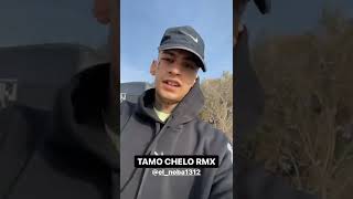 TAMO CHELO REMIX [upl. by Amak308]