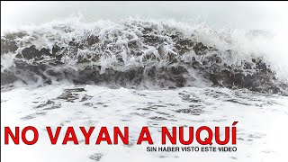 NO VAYAN A NUQUI sin haber visto Ballenas en este video [upl. by Sirron]