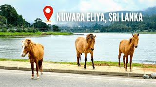 Explore Nuwara Eliya Sri Lanka [upl. by Assirec]