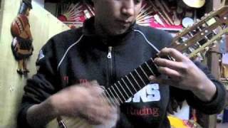 Fantastic Charango Playing in La Paz Bolivia in Local Music Store [upl. by Einberger]