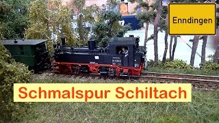 Modellbahn Schmalspur H0e IG Schiltach  Bonus [upl. by Lalitta]