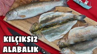 ALABALIK NASIL TEMİZLENİR 🐟 HOW TO CLEAN TROUT FİSH ✔️KILÇIKSIZ FİLETO VE KELEBEK ÇIKARMA VİDEOSU [upl. by Beeck247]