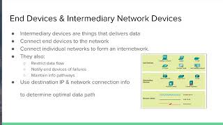 Intermediary and End Devices Cisco [upl. by Mark257]