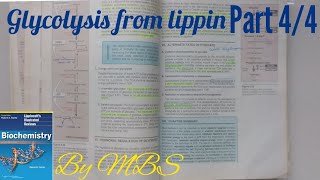 Lippincott chap 8  Glycolysis  part 4 of 4 [upl. by Ainolopa]