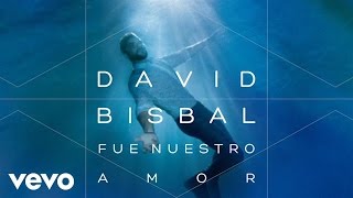 David Bisbal  Fue Nuestro Amor Audio [upl. by Denyse431]