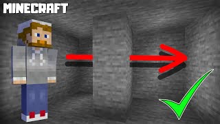 Minecraft  How to Get Xray Vision Without Mods 1164  NO CHEATS [upl. by Aiva118]