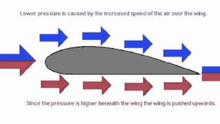 Bernoullis Principle [upl. by Etnoled]