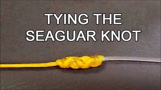 Tying the SeaguarLefty Kreh knot [upl. by Boykins615]