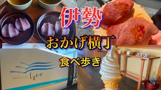 【伊勢観光】おかげ横丁ampおはらい町で食べ歩き♪ [upl. by Steven]