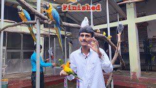 Parrot Dipankar Farm Finished [upl. by Kienan124]