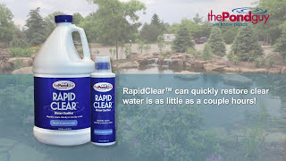 The Pond Guy® RapidClear™  Water Clarifier [upl. by Crosley428]