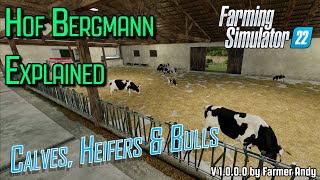 👨🏼‍🌾 FS22 Hof Bergmann Explained 👨🏼‍🌾 Cows 👨🏼‍🌾Calves Heffers and Bulls [upl. by Erde]