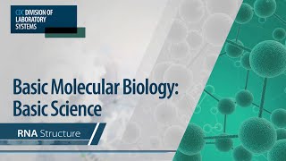 Basic Molecular Biology Basic Science – RNA Structure [upl. by Notxarb904]