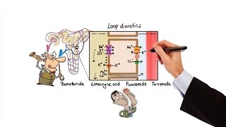 Pharmacology  DIURETICS MADE EASY [upl. by Tremann]