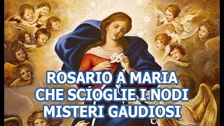 Rosario a Maria che scioglie i nodi  Misteri Gaudiosi [upl. by Nnybor]