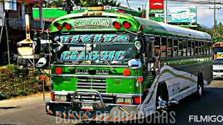 Buses tuning de Honduras 🔰 [upl. by Hyps]