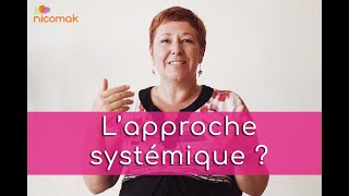 Questce que lapproche systémique [upl. by Hilaria]