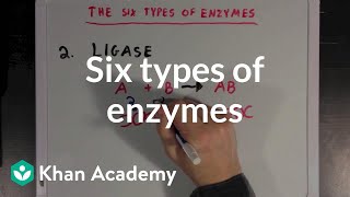 Six types of enzymes  Chemical Processes  MCAT  Khan Academy [upl. by Gabbert]