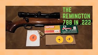 The Remington 788 in 222 [upl. by Oniger]