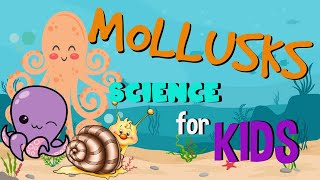 What is a Mollusk Invertebrates animals  Science for Kids [upl. by Yralih624]