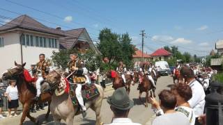 Nunta Bucovina  partestii de jos [upl. by Zita]