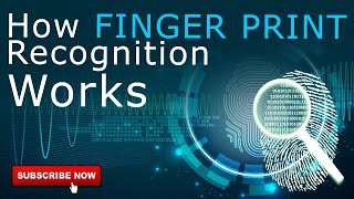 How Fingerprint Recognition Works   Biometric Devices  Star Link [upl. by Alderman]