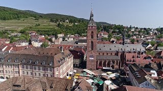 Die Stiftskirche in Neustadt – Himmel auf Erden  SWR Fernsehen [upl. by Zeb]