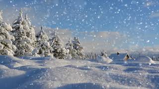 Winter wonderland with relaxing piano music Smart TV background video [upl. by Zeba]