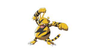 Pokemon Cries  Electabuzz [upl. by Lemcke369]