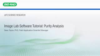 Image Lab Software Tutorial Purity Analysis [upl. by Aurlie]