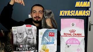 KEDİ MAMASI KARŞILAŞTIRMASI Royal Canin ProPlan ND Kıyaslama [upl. by Ahsiuqet49]