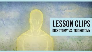 Lesson Clips Dichotomy vs Trichotomy [upl. by Robert]