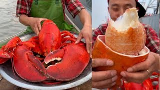 Fisherman Eat Giant Lobster Mukbang  Chinese Seafood Mukbang Show [upl. by Hollis]