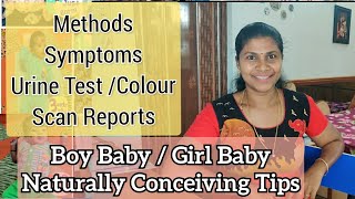 Boy Baby pregnancy Tips in Tamil👶 Baby Boy Scan Reports  Girl baby  Boy Baby Symptoms in Tamil🤰 [upl. by Fredel342]