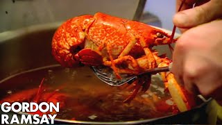 Cooking Lobster with Jeremy Clarkson  Gordon Ramsay [upl. by Cresida]