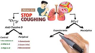 Pharmacology of the cough  Antitussive  Expectorant and Mucolytic drugs [upl. by Anaidiriv100]